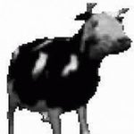 Dancing Polish Cow but its low quality