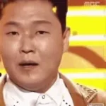 gangnam style intro perfect loop low q