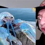 You're an inferior species