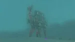 Divine beast Vah Naboris cry
