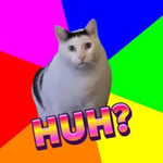 huh cat