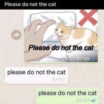 Minecraft Theme (Earrape)