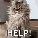 HELP