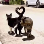 Yowis Ben (gandolane ati) MP3 - Sound