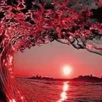 Perfekte Welle HOODTRAP (copy)