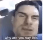 which bomboclat dog i am