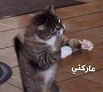 ريمكس يا طيبة - Sound