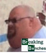 somebody I used to know but ron sings it