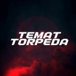 torpeda231