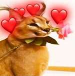 por un beso de la flaca