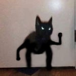 YouDon'tWannaSeeMeRage