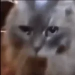 Recording 02/23/26 20:10:05