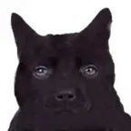 Papu! Despierta! tienes que hornear unos momazos!