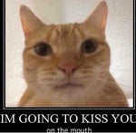 Tripod Sound from War of the Worlds 2005