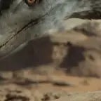 Velociraptor Territorial Call