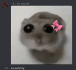 no jugaste roblox conmigo