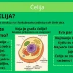 Uguram ti pizdu u pizdu