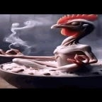 meditating chicken