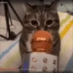 fart agressive (copy)