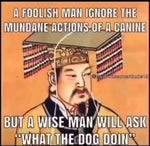 Metal Pipe Falling Sound Effect