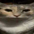 dawid jasper dyma miśke