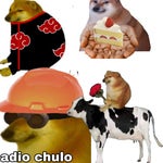 then something just snapped, something inside of me