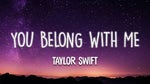 You Belong With Me REMIX