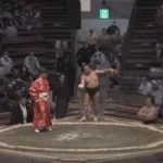 Subaluwa Sumo