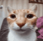 reddit guys girlfriend for two years song tiktok sound cbat by - Sound