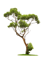 БЕБРЫ ВСЕ В АДИДАСАХ - Sound