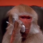 УГУ,УГУ,ОБЕЗЬЯНА РАЗГОВАРИВАЕТ ПО ТЕЛЕФОНУ - Sound