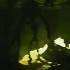 found footage 2 chase