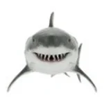 hollow purple music (no talk) (copy)