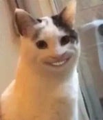 I Will Find You And I Will Kill You Sound Effect