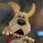 you can run but you cant hide