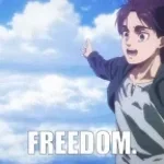 Freedom AOT (copy)