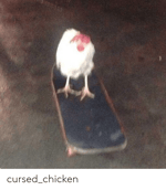 PINOY BIG BROTHER FUNNY SOUNDTRACK