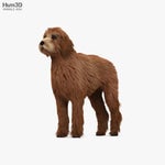 At the Speed of Light