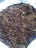 Eien no Akuru Hi [Hari Setelah Keabadian] (永遠のあくる日) Ado [Lirik