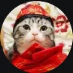 Arabic Lion vs Lightskin