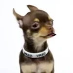 S9 dek mar choui dbdl thai