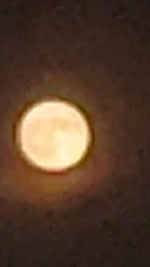 fortnite knocked out sound effect