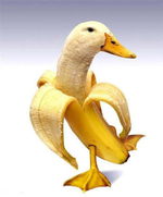 quack speedrun