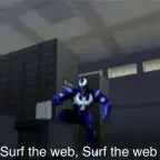 SURF THE WEB
