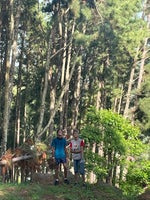 I knew the perc was fake