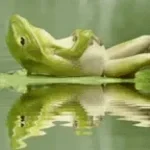 Such a good frog