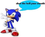sonic rush1