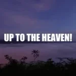 RIP YOU. TO LITTLE PIECES!