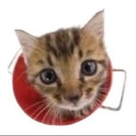 Lancer Laugh (Deltarune) - Sound