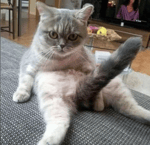 с писюном бл* поиграй - Sound